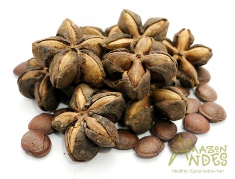 sacha inchi seeds bulk