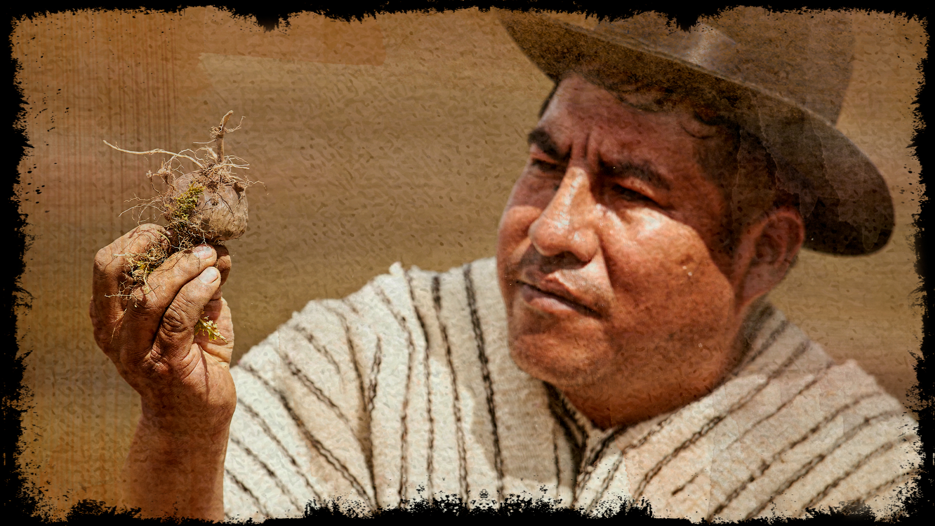 Get to Know Nilton Rojas – Peruvian maca farmer – Amazon Andes