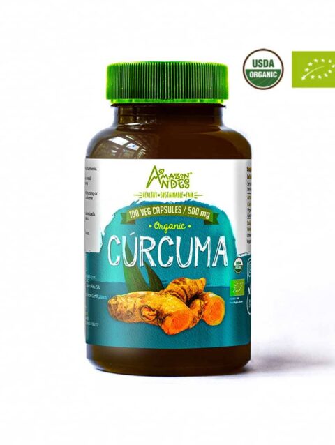 Turmeric capsules (100 x 500 mg )